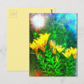 Briefkaart gele bloemen (Voorkant / Achterkant)