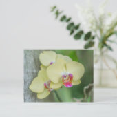 Briefkaart - Gele orchidee (Staand voorkant)