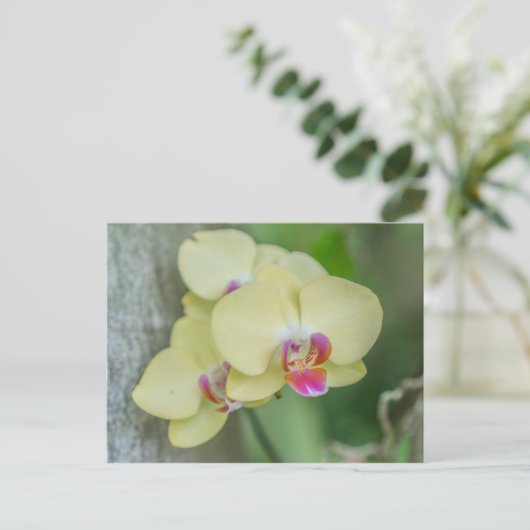 Briefkaart - Gele orchidee (Staand voorkant)