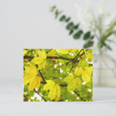 Briefkaart gele veldmantel (Staand voorkant)