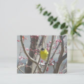 Briefkaart - Gele vink in kersenboom (Staand voorkant)