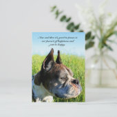 Briefkaart Geluksbokser (Staand voorkant)