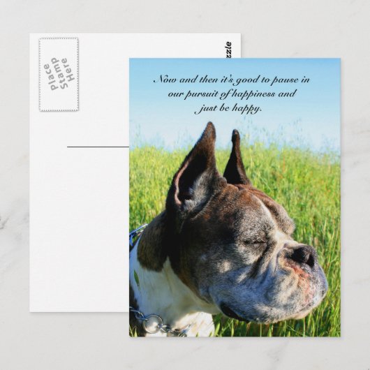 Briefkaart Geluksbokser (Voorkant / Achterkant)