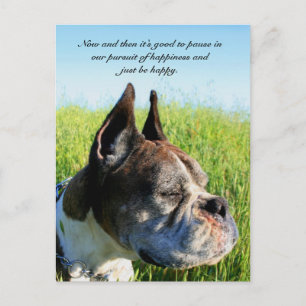 Briefkaart Geluksbokser