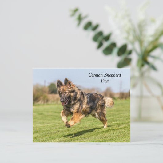 Briefkaart German Shepherd Dog Alsatian (Staand voorkant)