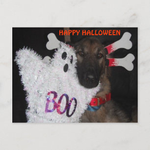 Briefkaart German Shepherd Halloween Boo