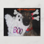 Briefkaart German Shepherd Halloween Boo (Voorkant)