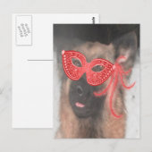 Briefkaart German Shepherd Mardi Gras Mask Red (Voorkant / Achterkant)