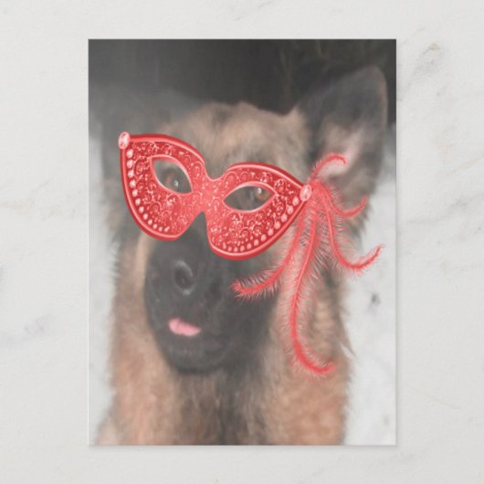 Briefkaart German Shepherd Mardi Gras Mask Red (Voorkant)