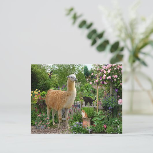 briefkaart "Gigi The Llama" (Staand voorkant)