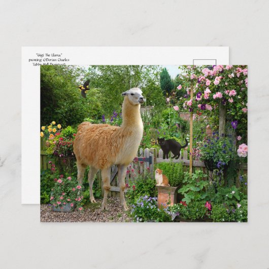briefkaart "Gigi The Llama" (Voorkant / Achterkant)