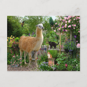 briefkaart "Gigi The Llama"
