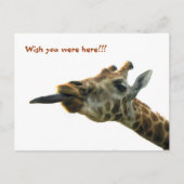 BRIEFKAART - GIRAFFE (Voorkant)