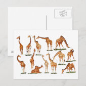 briefkaart "GIRAFFE" (Voorkant / Achterkant)