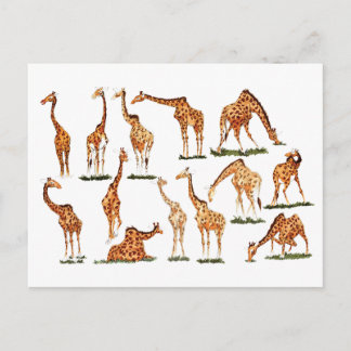 briefkaart "GIRAFFE"