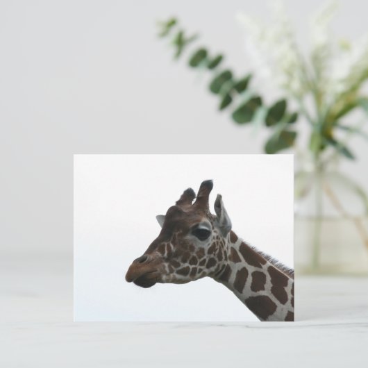 Briefkaart: Giraffe Briefkaart (Staand voorkant)