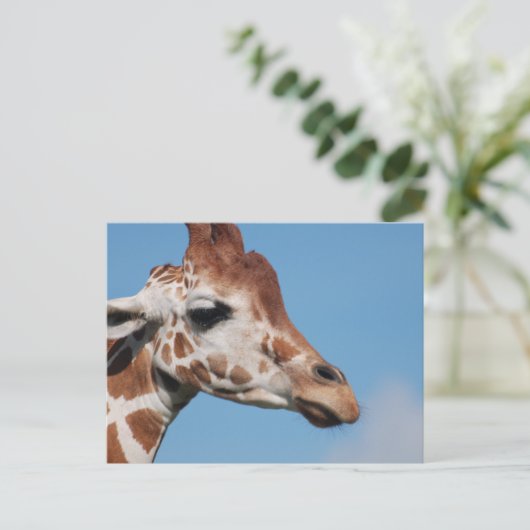 Briefkaart Giraffe profiel (Staand voorkant)