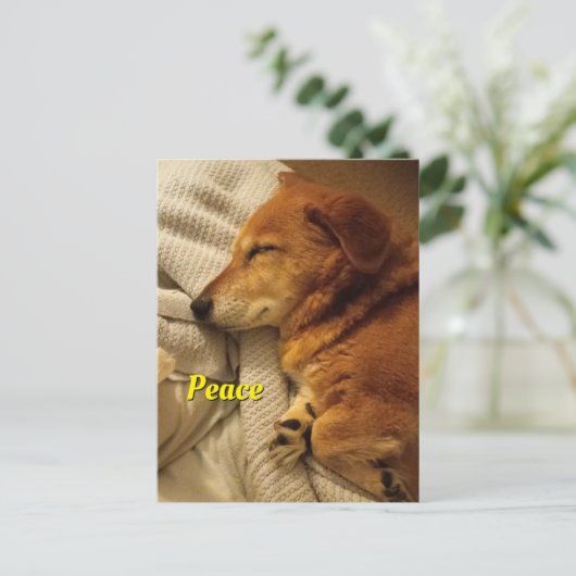 Briefkaart glimlachen (Staand voorkant)