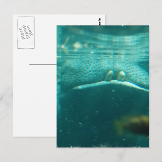 Briefkaart glimlachen (Voorkant / Achterkant)