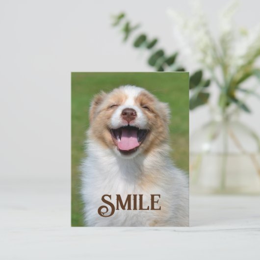 Briefkaart glimlachen van puppy Dog Funny Animal S (Staand voorkant)