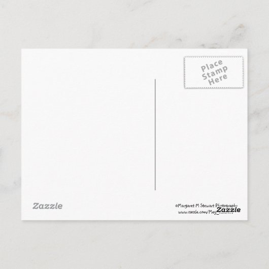 Briefkaart glimlachend eekhoornvriendschap (Achterkant)