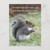 Briefkaart glimlachend eekhoornvriendschap (Voorkant)
