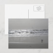 Briefkaart Gluistergolven (Voorkant / Achterkant)