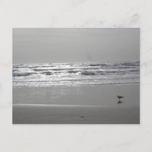 Briefkaart Gluistergolven