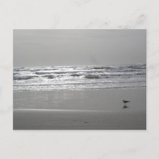 Briefkaart Gluistergolven