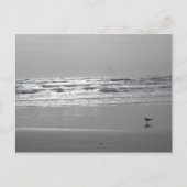 Briefkaart Gluistergolven (Voorkant)