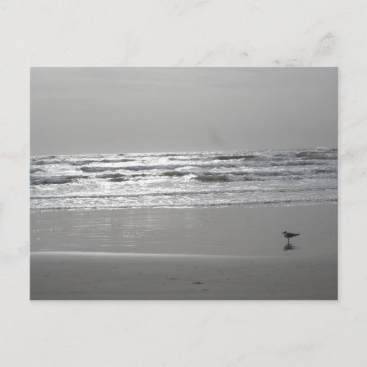 Briefkaart Gluistergolven (Voorkant)