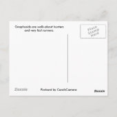 Briefkaart Gnaphosid Spider (Achterkant)