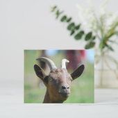briefkaart _ Goat (Staand voorkant)