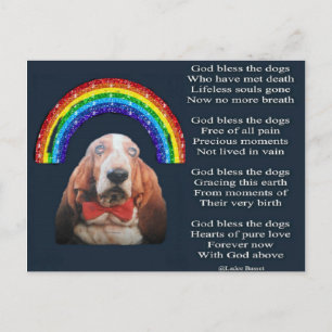 Briefkaart God zegene de honden