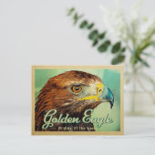Briefkaart Golden Eagle - Wilde dieren van de were (Staand voorkant)