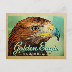 Briefkaart Golden Eagle - Wilde dieren van de were
