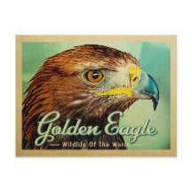 Briefkaart Golden Eagle - Wilde dieren van de were