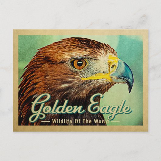 Briefkaart Golden Eagle - Wilde dieren van de were (Voorkant)