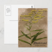 Briefkaart Goldenrodventilator (Voorkant / Achterkant)