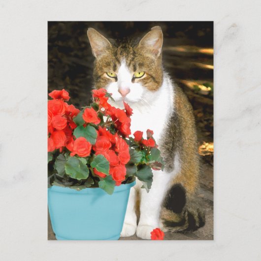 briefkaart "Goldy & Red Flowers" (Voorkant)