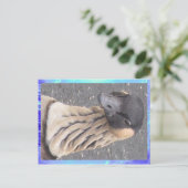 Briefkaart - Goose (Staand voorkant)