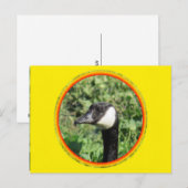 Briefkaart - Goose Portret (Voorkant / Achterkant)