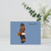 Briefkaart Gove Brahminy Kite (Staand voorkant)