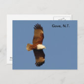 Briefkaart Gove Brahminy Kite (Voorkant / Achterkant)