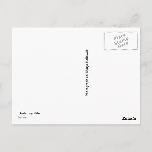 Briefkaart Gove Brahminy Kite (Achterkant)