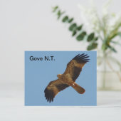 Briefkaart Gove Brahminy Kite 1 jaar (Staand voorkant)