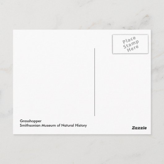 Briefkaart Grasshout (Achterkant)