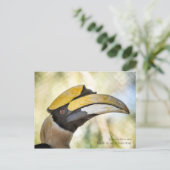 Briefkaart: Great Hornbill 4 Briefkaart (Staand voorkant)