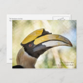 Briefkaart: Great Hornbill 4 Briefkaart (Voorkant / Achterkant)