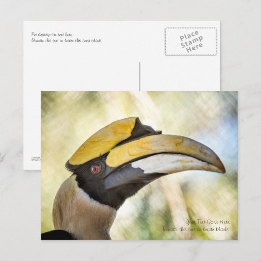 Briefkaart: Great Hornbill 4 Briefkaart (Voorkant / Achterkant)
